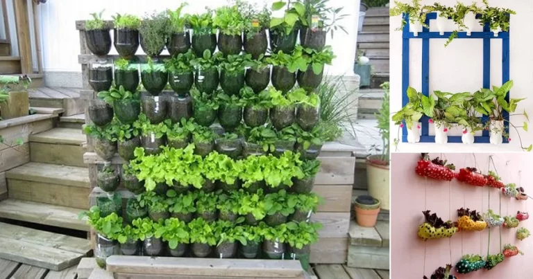 Verde em Ascensão: Guia Completo para Hortas Verticais em Ambientes Urbanos