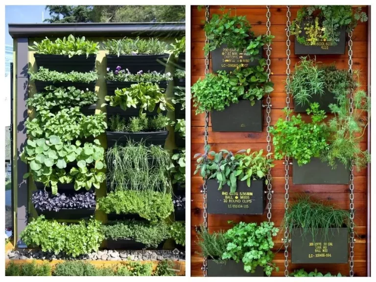 Jardins nas Alturas: Como Criar uma Horta Vertical em seu Condomínio