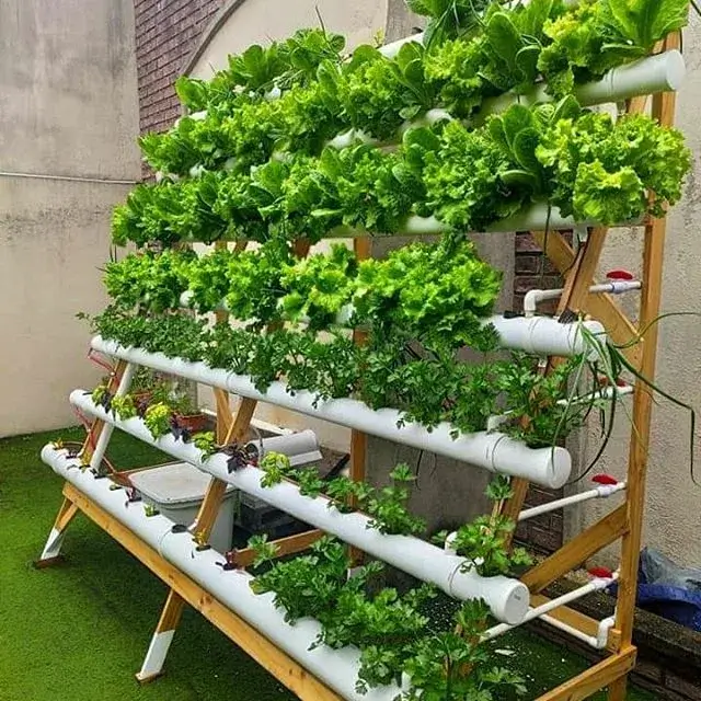 Hortas Verticais: Solução Inteligente para Jardinagem em Espaços Compactos